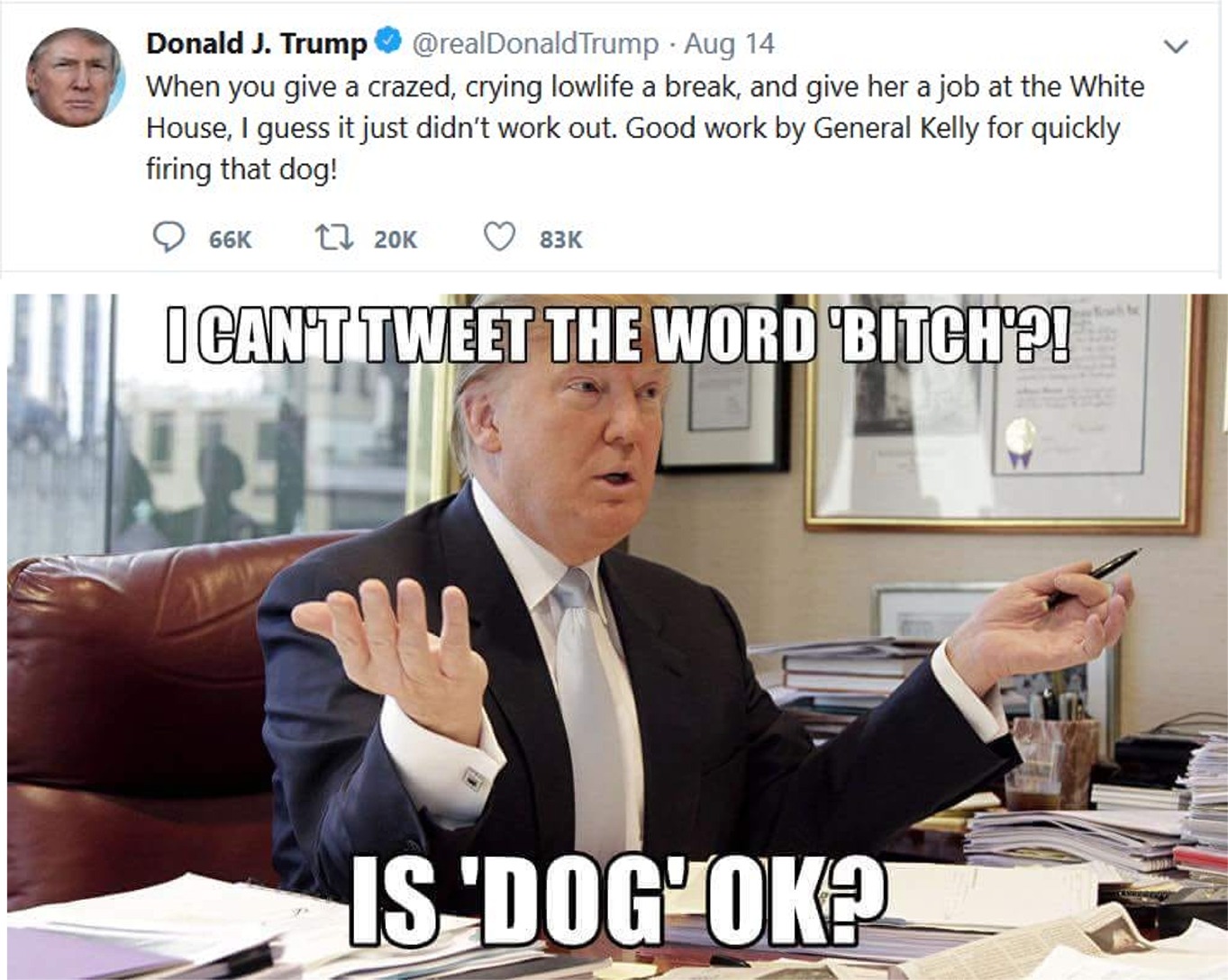 memes - Donald Trump - Donald J. Trump Trump Aug 14 When you give a crazed, crying lowlife a break, and give her a job at the White House, I guess it just didn't work out. Good work by General Kelly for quickly firing that dog! 66K 83K Icanttweet The Word