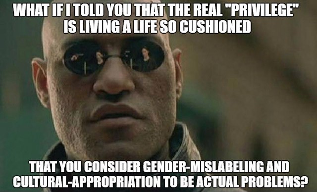 memes - What If I Told You That The Real "Privilege Is Living A Life So Cushioned That You Consider GenderMislabeling And CulturalAppropriation To Be Actual Problemsp