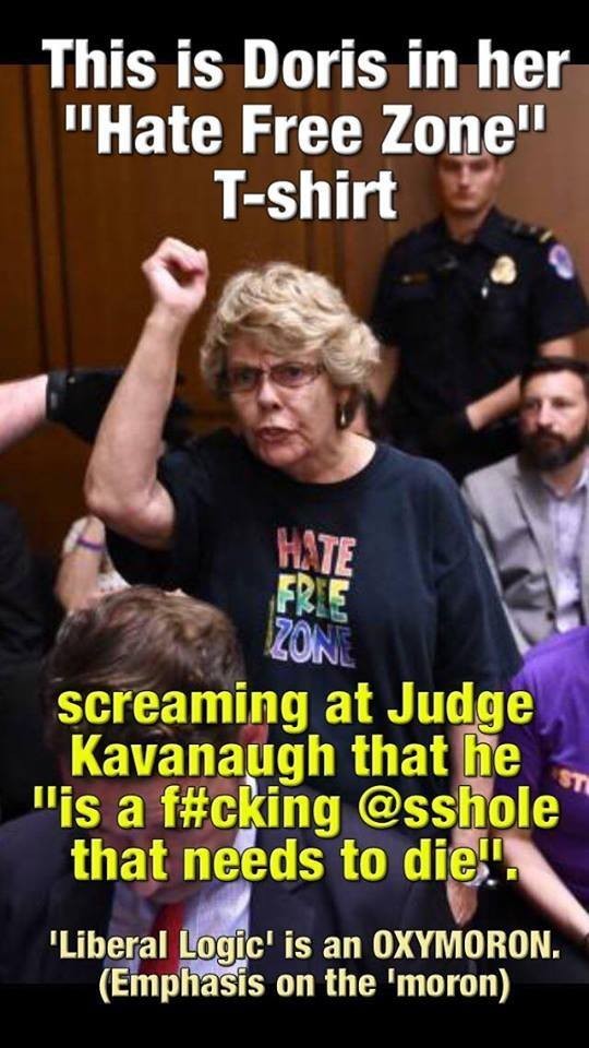 memes - good republican oxymoron meme - This is Doris in her "Hate Free Zone" Tshirt screaming at Judge Kavanaugh that he "is a f that needs to die. "Liberal Logic' is an Oxymoron. Emphasis on the 'moron