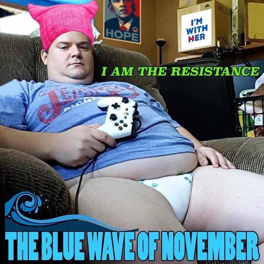 photo caption - I'M With Her I Am The Resistance The Blue Wave Of November