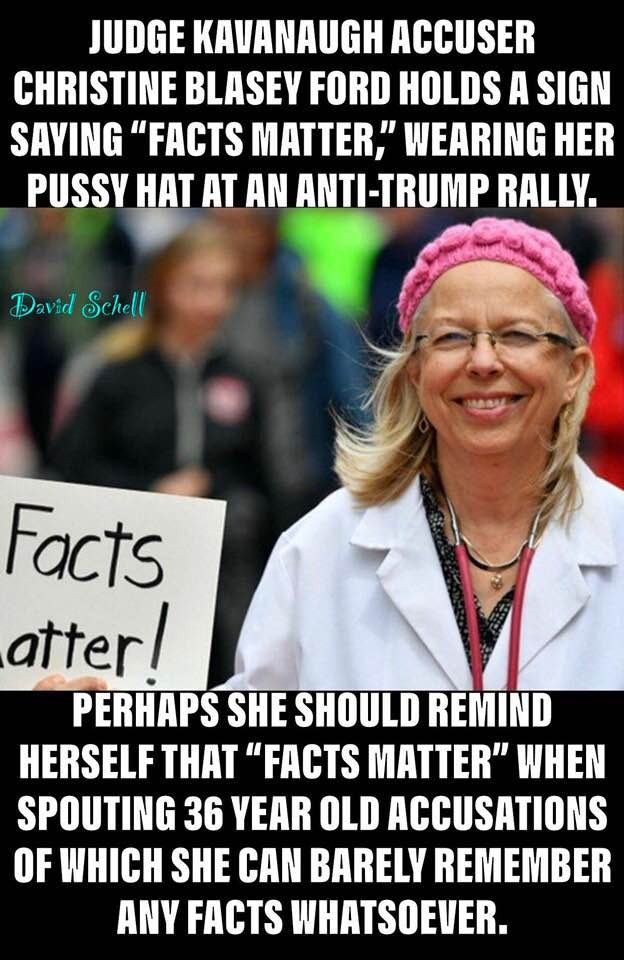 anti blasey ford memes - Judge Kavanaugh Accuser Christine Blasey Ford Holds A Sign Saying "Facts Matter;" Wearing Her Pussy Hat At An AntiTrump Rally. David Schell Facts atter! Perhaps She Should Remind Herself That Facts Matter" When Spouting 36 Year Ol