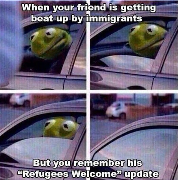 kermit the frog car window meme - When your friend is getting beat up by immigrants But you remember his Refugees Welcome update