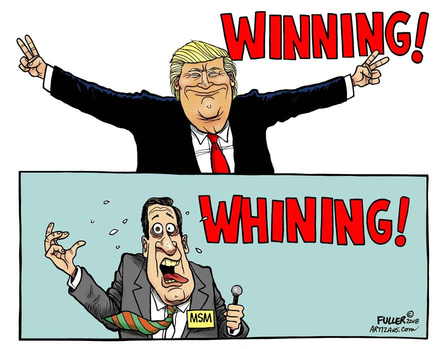 cartoon - Winning! Q Whining! Msm Fuller 2018 Artizans.com
