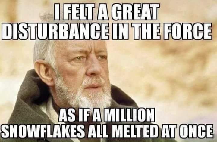 melting snowflake meme - I Felt A Great Disturbance In The Force As If A Million Snowflakes All Melted At Once