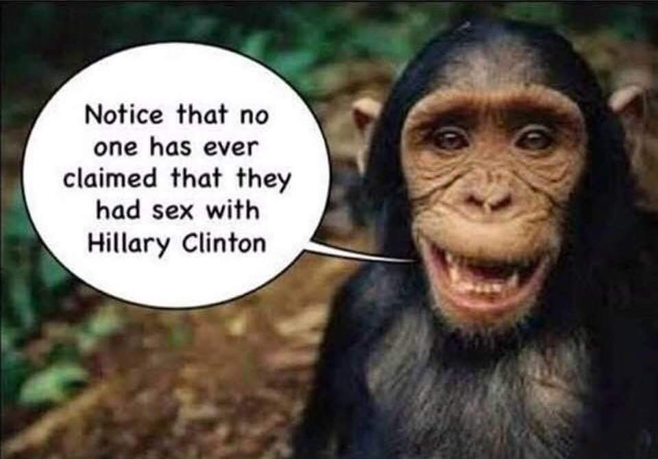 Chimpanzee - Notice that no one has ever claimed that they had sex with Hillary Clinton