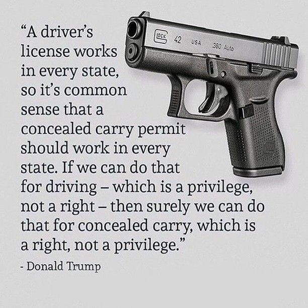 need a license to drive guns - "A driver's S Oer 42 44 Usa Usa as 380 Auto license works D in every state, so it's common sense that a concealed carry permit should work in every state. If we can do that for driving which is a privilege, not a right, then