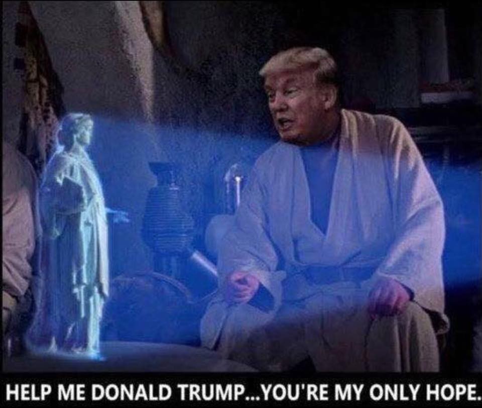 your my only hope - Help Me Donald Trump...You'Re My Only Hope.