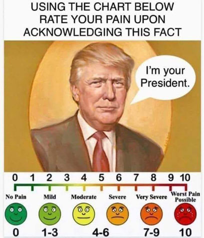 rate your pain meme - Using The Chart Below Rate Your Pain Upon Acknowledging This Fact I'm your President 0 1 2 3 4 5 6 7 8 9 10 No Pain Mild Moderate Severe Very Severe pasibain 0 13 46 79 10