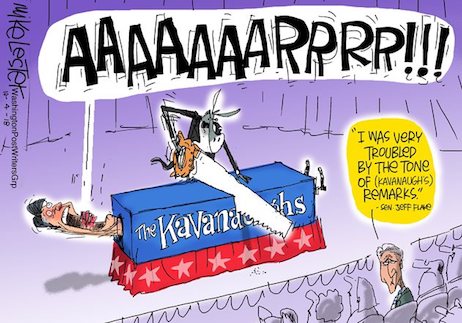 2018 october political cartoons - Aaaaaaarrrr!!! I Was Very Troubled By The Tone Of Kavanaughs Remarks." Sen Sfp Rae L Ea Kavarnelen his tu Shy namurtaru