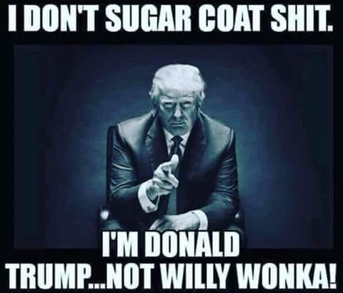 human - I Don'T Sugar Coat Shit. I'M Donald Trump...Not Willy Wonka!