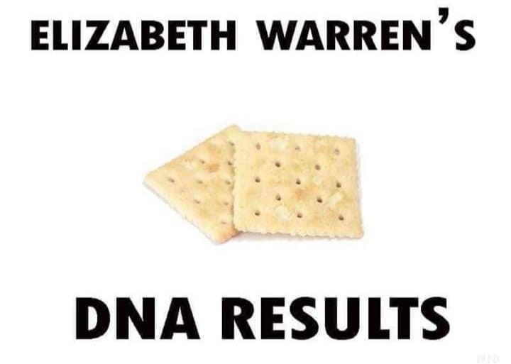 elizabeth warren dna results meme - Elizabeth Warren'S Dna Results