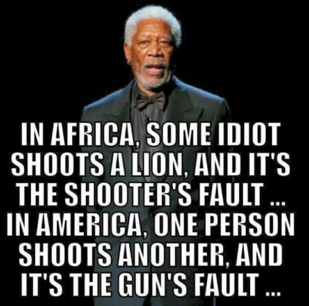 memes - morgan freeman funny quotes - In Africa, Some Idiot Shoots A Lion, And It'S The Shooter'S Fault ... In America, One Person Shoots Another, And It'S The Gun'S Fault...