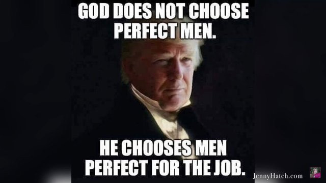 memes - photo caption - God Does Not Choose Perfect Men. He Chooses Men Perfect For The Job. Jenny Hatch.com