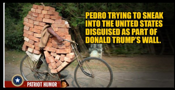 memes - overloaded bicycle - Pedro Trying To Sneak Into The United States Disguised As Part Of Donald Trump'S Wall. Patriot Humor