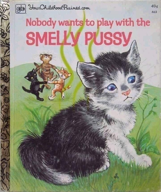 memes - nobody wants to play with the smelly pussy - 496 463 go Your Childhod Buine.com Nobody wants to play with the Smelly Pussy