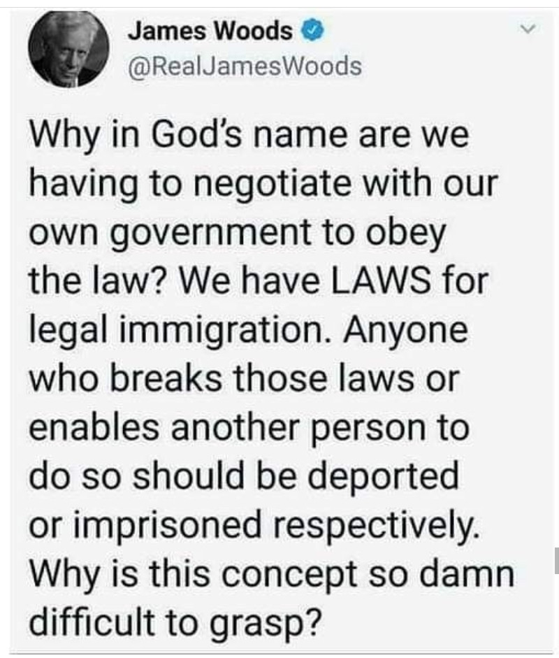 memes - part of no don t - James Woods Why in God's name are we having to negotiate with our own government to obey the law? We have Laws for legal immigration. Anyone who breaks those laws or enables another person to do so should be deported or imprison
