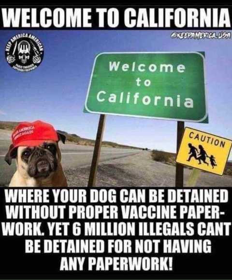 memes - liberal california meme - Welcome To California Ubica Keepaneala. Usa Welcome to California Caution Where Your Dog Can Be Detained Without Proper Vaccine Paper Work. Yet 6 Million Illegals Cant Be Detained For Not Having Any Paperwork!