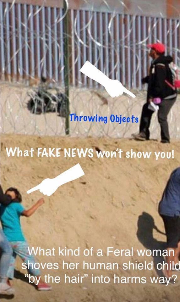 memes - play - Throwing Objects What Fake News won't show you! What kind of a Feral woman shoves her human shield child "by the hair" into harms way?