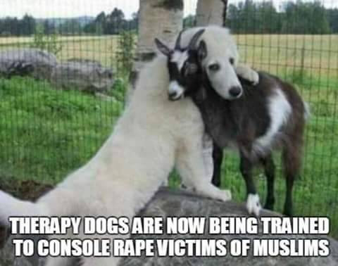 animals that love each other - Therapy Dogs Are Now Being Trained To Console Rape Victims Of Muslims