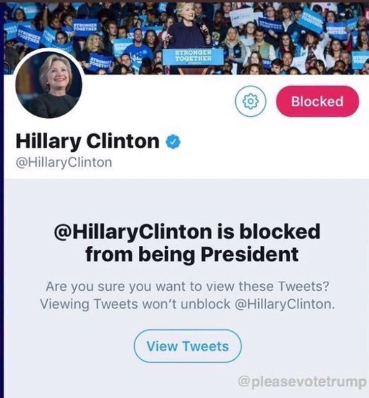 online advertising - Stronger Together Blocked Hillary Clinton Clinton Clinton is blocked from being President Are you sure you want to view these Tweets? Viewing Tweets won't unblock Clinton. View Tweets