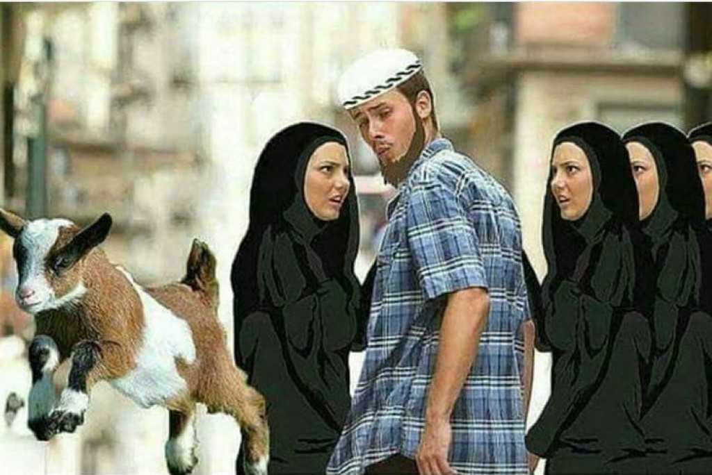 funny muslim goat memes