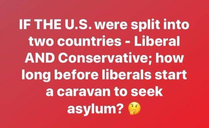 graphics - If The U.S. were split into two countries Liberal And Conservative; how long before liberals start a caravan to seek asylum?