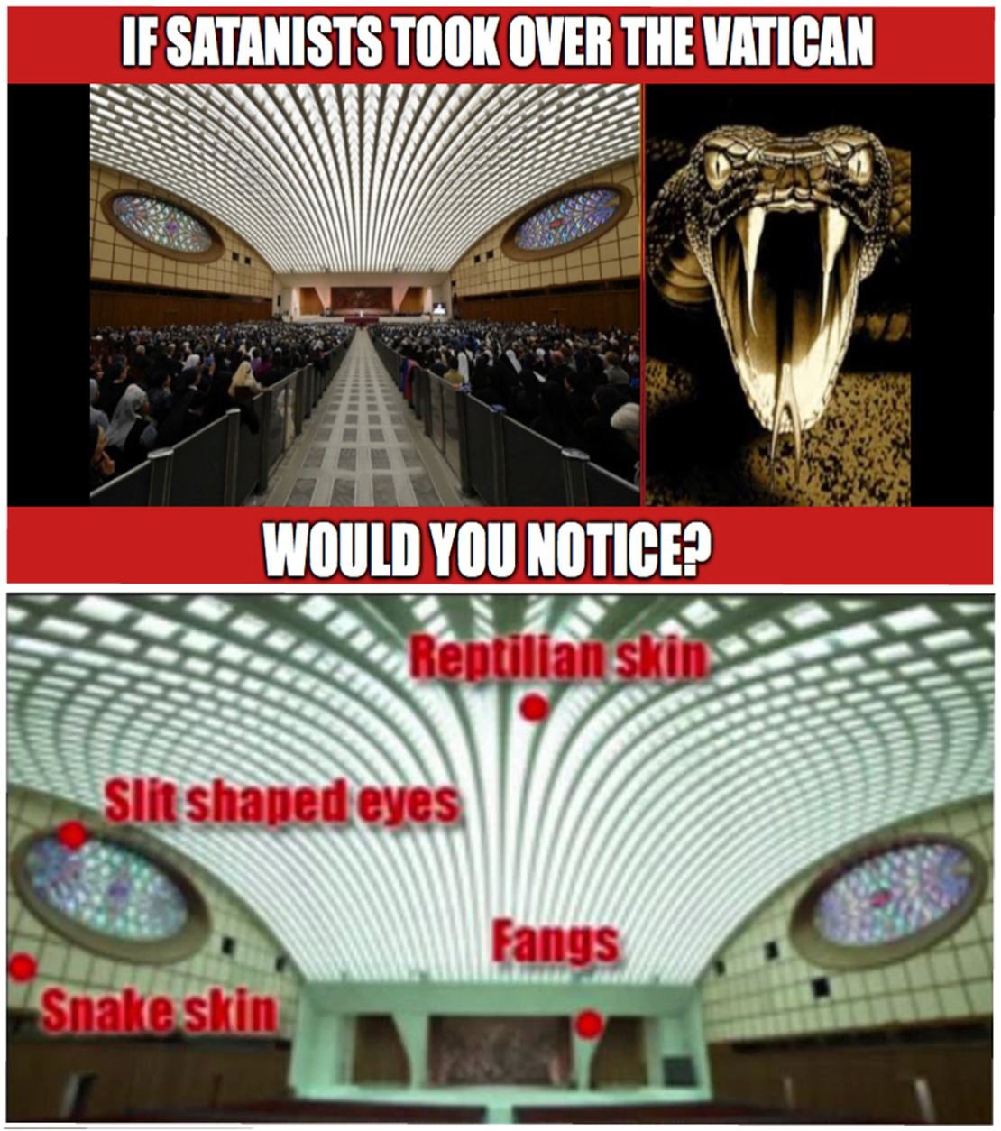 ceiling - If Satanists Took Over The Vatican Would You Notice? Reptilian skin Slit shaped eyes Fangs Snakeskin