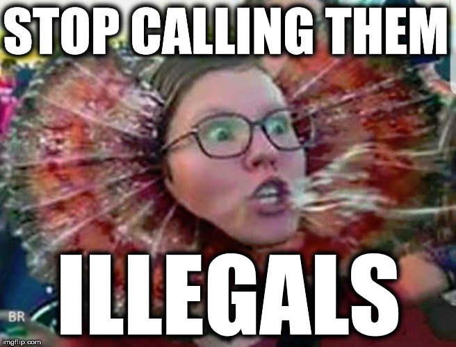 memes - sjw triggered meme - Stop Calling Them Illegals Br imgflip.com