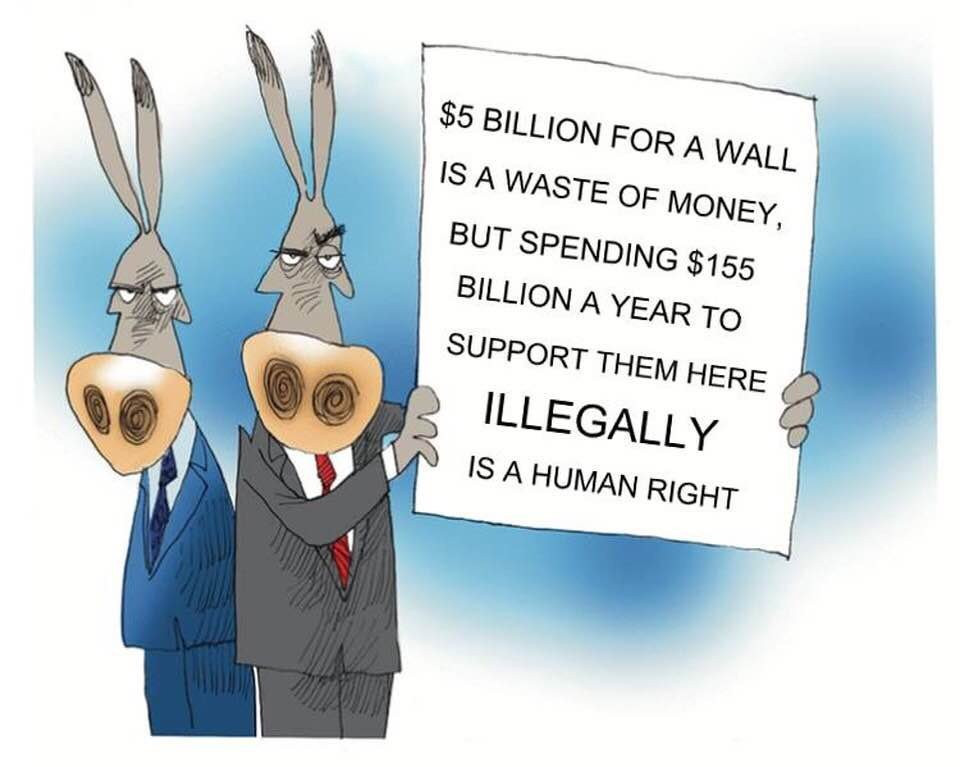 memes - cartoon - $5 Billion For A Wall Is A Waste Of Money, But Spending $155 Billion A Year To Support Them Here Illegally Is A Human Right