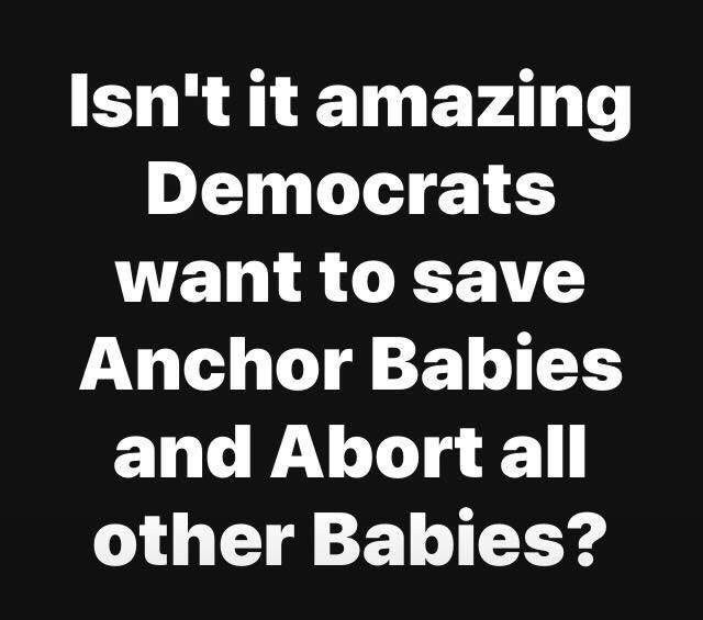 memes - it's always the good ones that get hurt - Isn't it amazing Democrats want to save Anchor Babies and Abort all other Babies?
