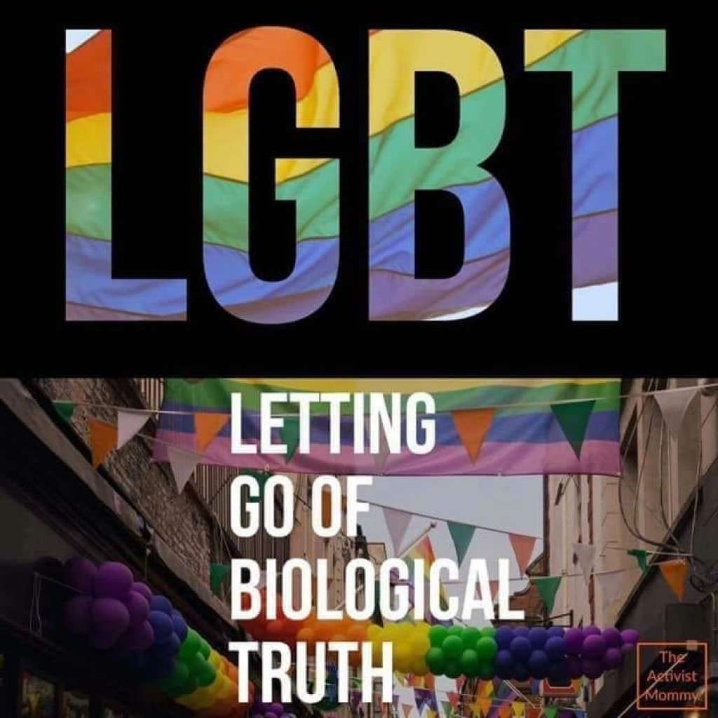 memes - graphics - Letting Go Of Biological Truth The Activist Mommy