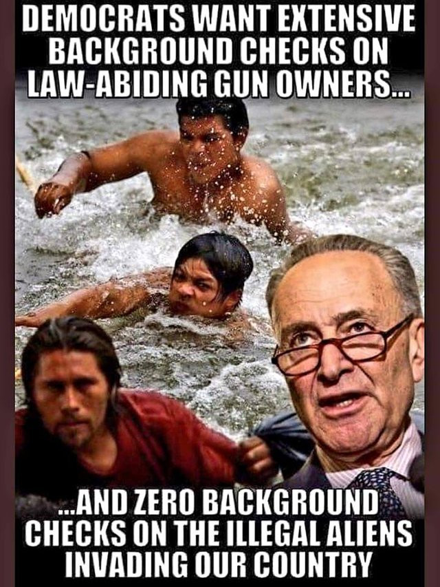 memes - meme - Democrats Want Extensive Background Checks On LawAbiding Gun Owners... ....And Zero Background Checks On The Illegal Aliens Invading Our Country