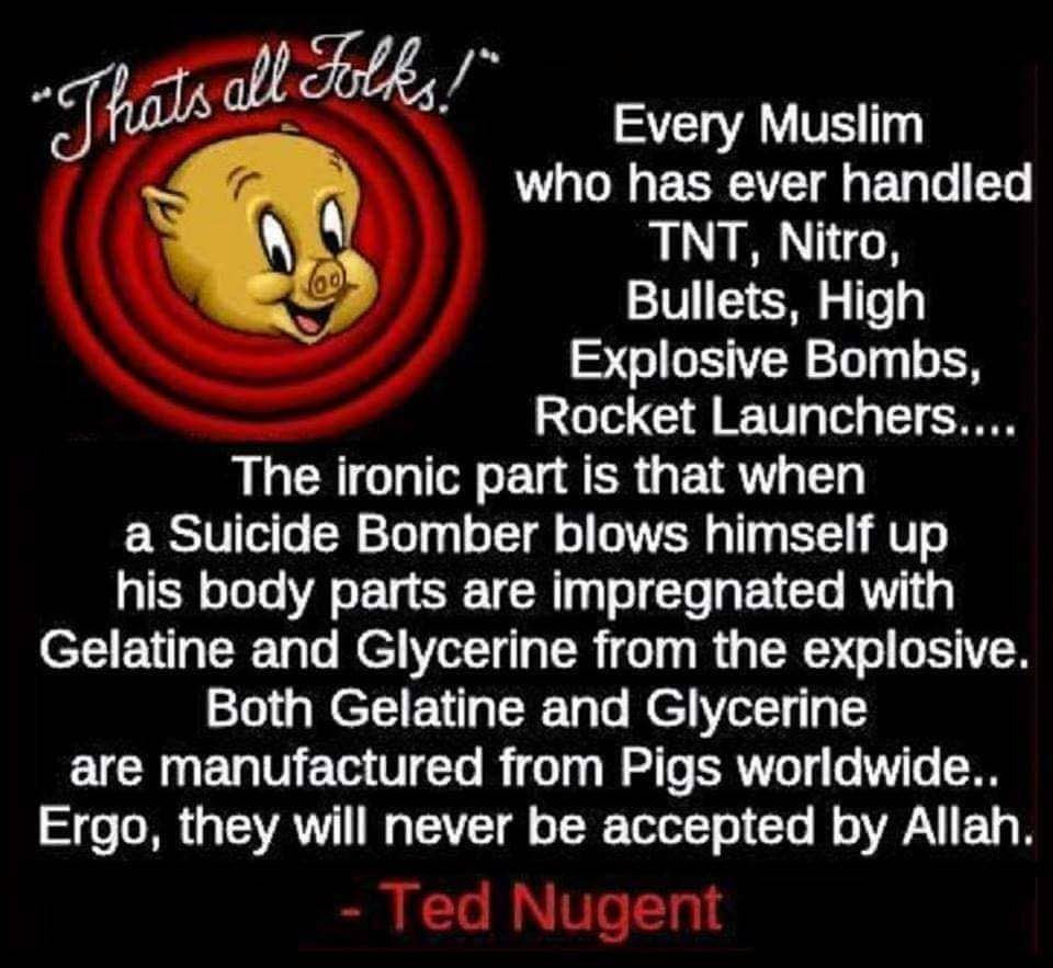 memes - cartoon - "Thats all Folks!" 100 Every Muslim who has ever handled Tnt, Nitro Bullets, High Explosive Bombs, Rocket Launchers... The ironic part is that when a Suicide Bomber blows himself up his body parts are impregnated with Gelatine and Glycer