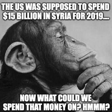 memes - thinking monkey - The Us Was Supposed To Spend $15 Billion In Syria For 2019... Now What Could We Spend That Money On? Hmmm?