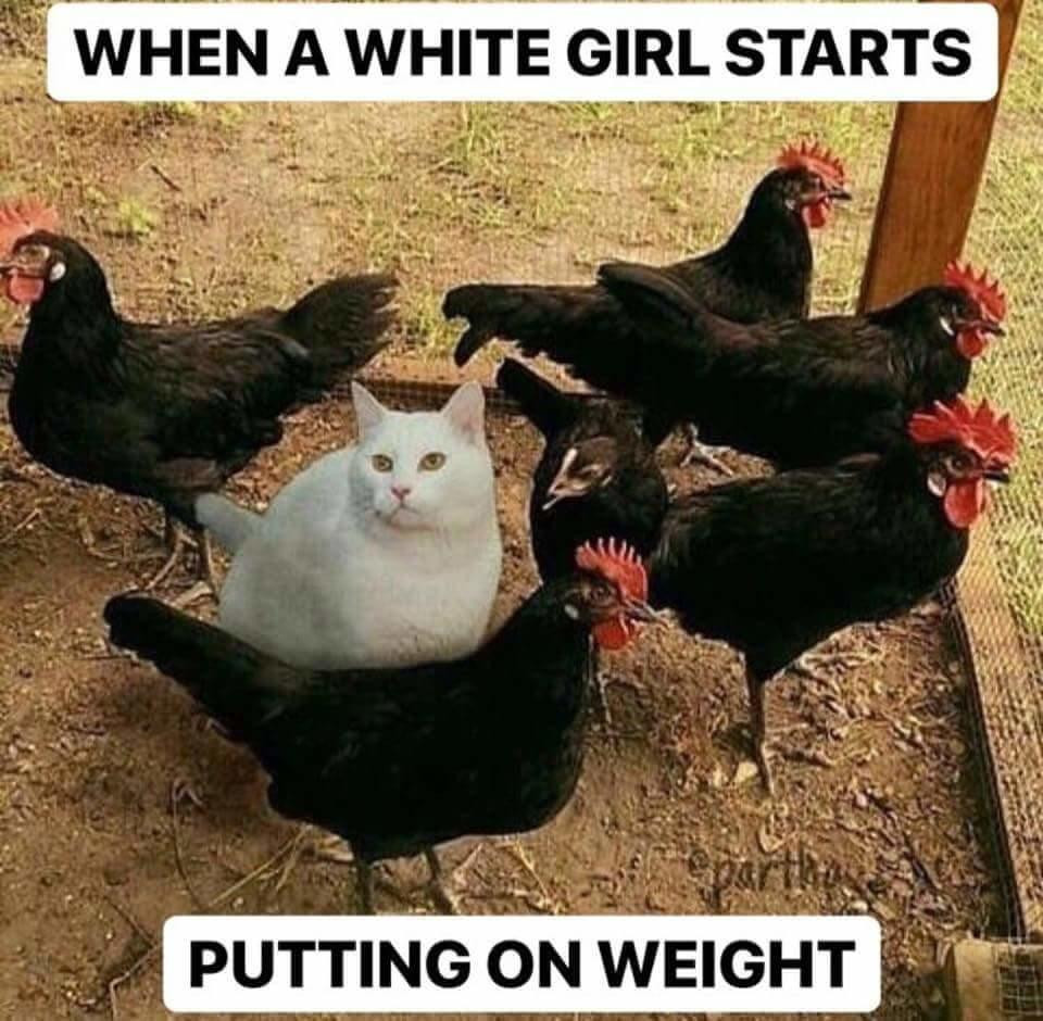 political meme you need high meme knowledge to understand - When A White Girl Starts Putting On Weight