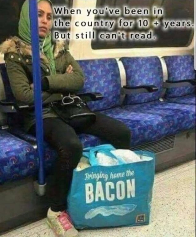 political meme you lying for guy - When you've been in the country for 10 years. But still can't read. Beinging home the Bacon