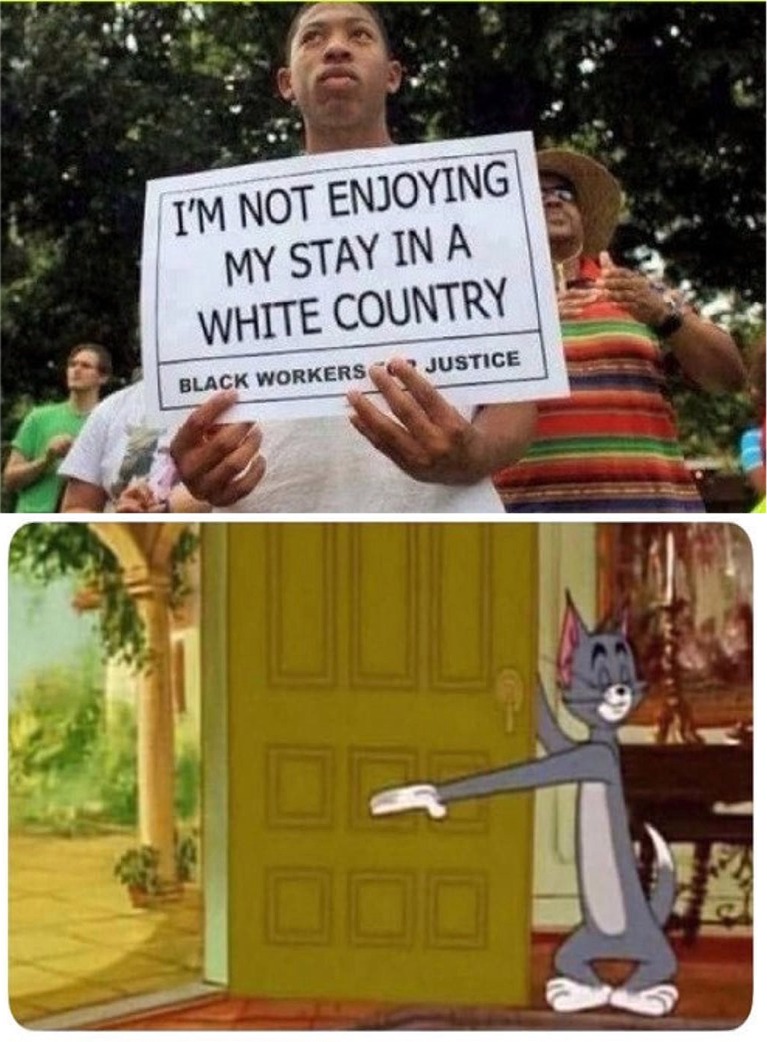 political meme memeeconomy tom and jerry meme - I'M Not Enjoying My Stay In A White Country Black Workers Justice