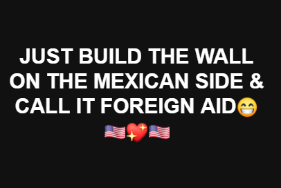 political meme graphic design - Just Build The Wall On The Mexican Side & Call It Foreign Aid