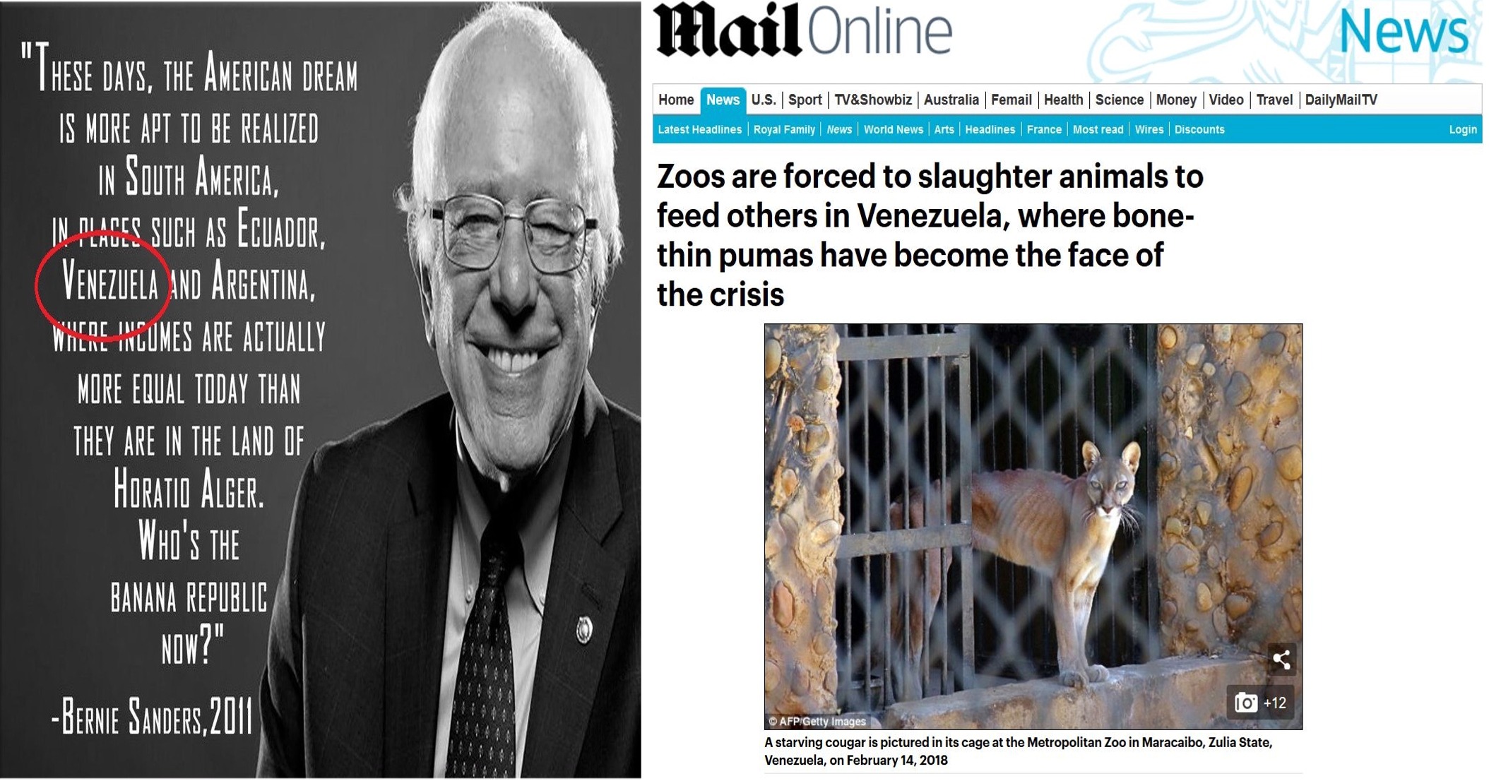 memes - human - Mail Online News Home New s Sport TVShowble Australia Fenal Health Science Monay Video Travel Daily Mail Tv Zoos are forced to slaughter animals to feed others in Venezuela, where bone thin pumas have become the face of the crisis "These D