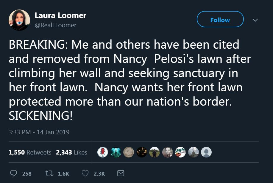 memes - screenshot - Laura Loomer Breaking Me and others have been cited and removed from Nancy Pelosi's lawn after climbing her wall and seeking sanctuary in her front lawn. Nancy wants her front lawn protected more than our nation's border. Sickening! 1