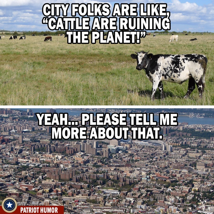 memes - dairy cow - City Folks Are , "Cattle Are Ruining A The Planet!" Yeah... Please Tell Me More About That. Patriot Humor