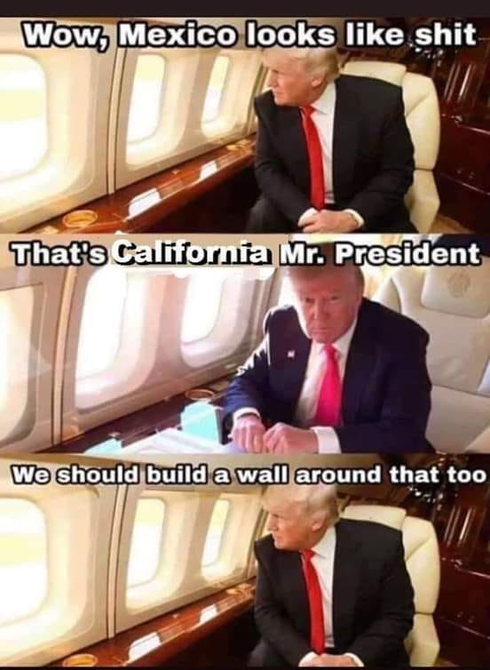 memes - wow mexico looks like shit meme - Wow, Mexico looks shit That's California Mr. President We should build a wall around that too