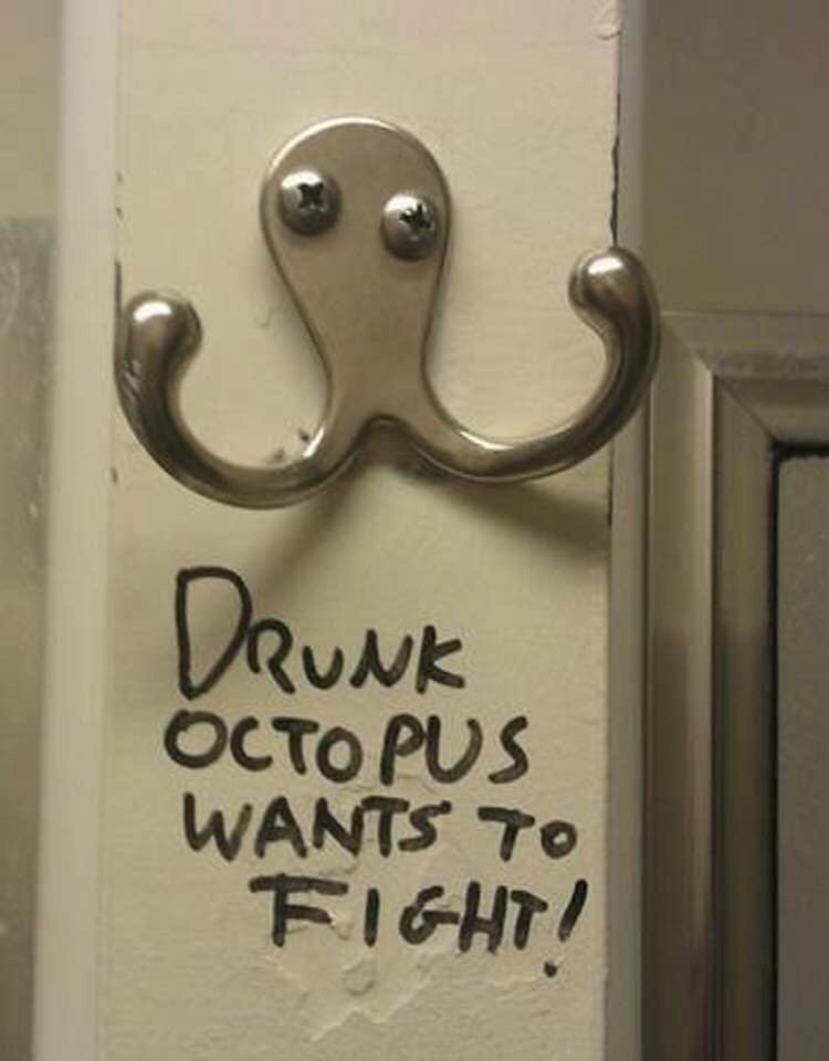 memes - drunk octopus wants to fight you - Drunk Octopus Wants 70 Fight!