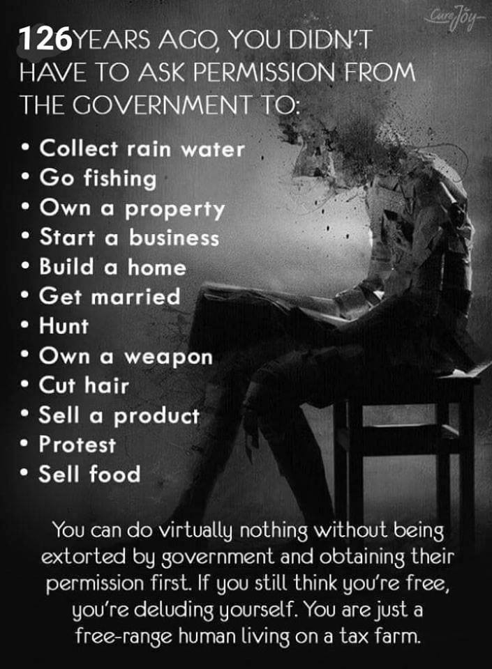 memes - Care Joy 126YEARS Ago, You Didn'T Have To Ask Permission From The Government To Collect rain water Go fishing Own a property Start a business Build a home Get married Hunt Own a weapon Cut hair Sell a product Protest Sell food You can do virtually