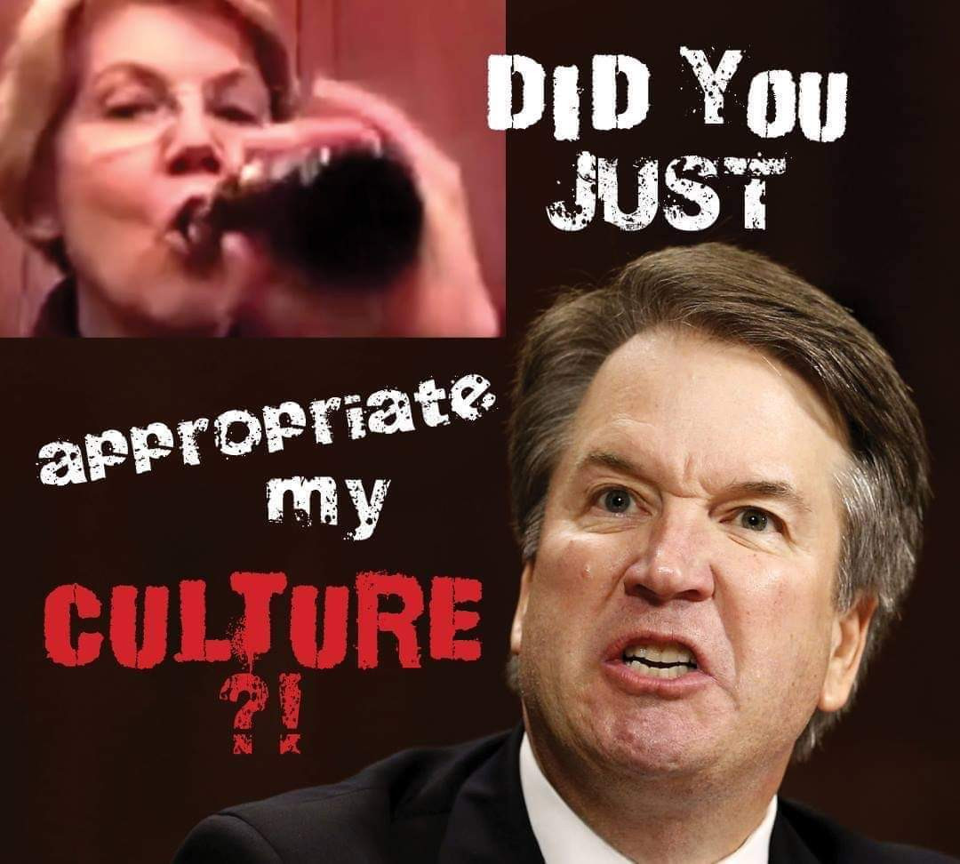 memes - brett kavanaugh - Did You Just appropriate Culture