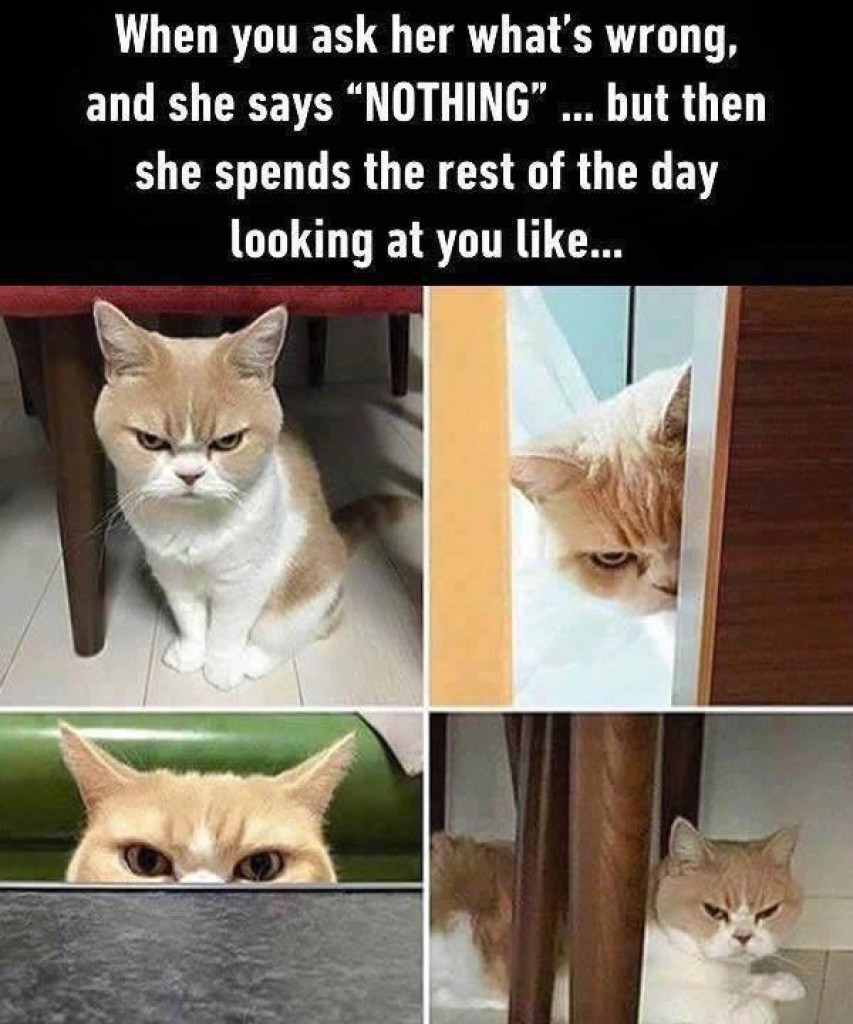 memes - can do everything for girl - When you ask her what's wrong, and she says Nothing ... but then she spends the rest of the day looking at you ...