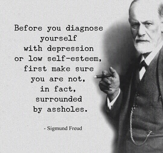memes - sigmund freud before you diagnose yourself - Before you diagnose yourself with depression or low selfesteem, first make sure you are not, in fact, surrounded by assholes. Sigmund Freud