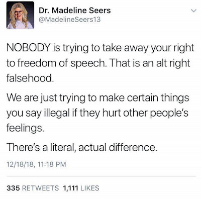 memes - document - Dr. Madeline Seers Seers13 Nobody is trying to take away your right to freedom of speech. That is an alt right falsehood. We are just trying to make certain things you say illegal if they hurt other people's feelings. There's a literal,