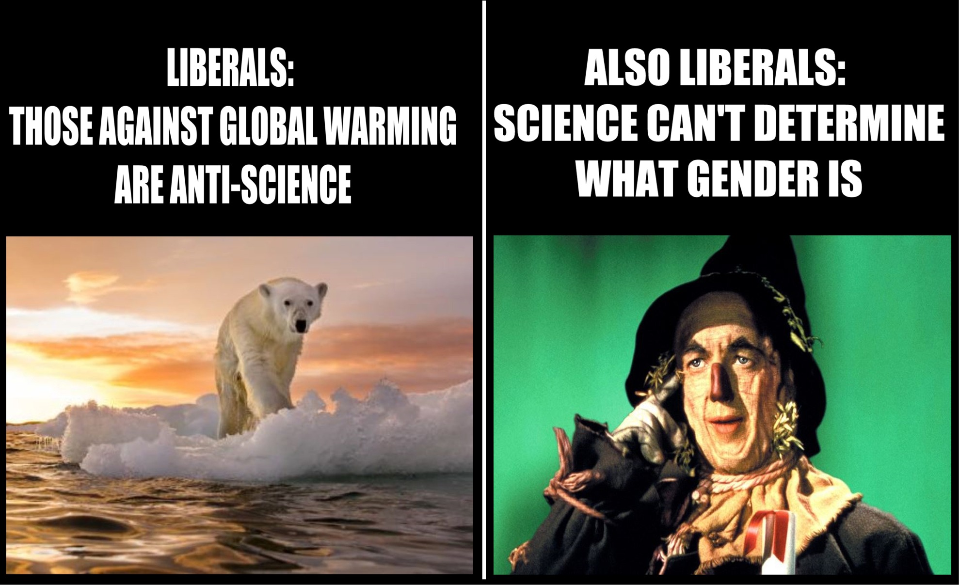 memes - photo caption - Liberals Also Liberals Those Against Global Warming Science Can'T Determine Are AntiScience What Gender Is