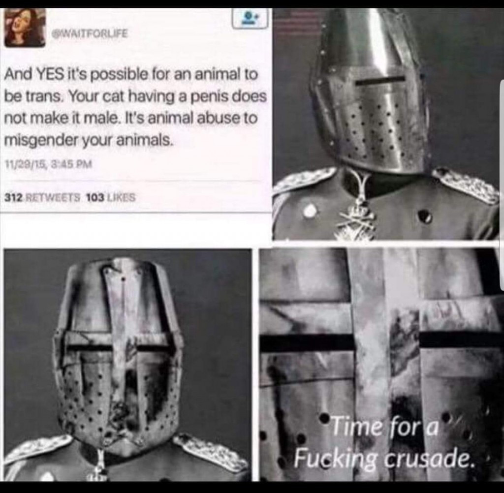 memes -  time for a crusade meme - Bwatforlife And Yes it's possible for an animal to be trans. Your cat having a penis does not make it male. It's animal abuse to misgender your animals. 112915, 312 103 Time for a Fucking crusade.